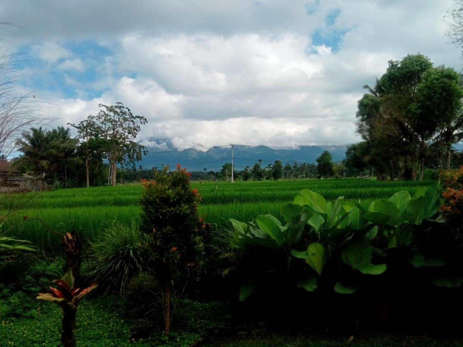 New Rinjani Homestay Tetebatu Zimmer foto